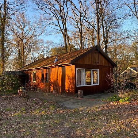 Basic Natuurhuisje Ommen/Beerze Villa Eksteriør bilde
