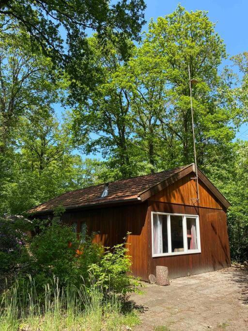 Basic Natuurhuisje Ommen/Beerze Villa Eksteriør bilde