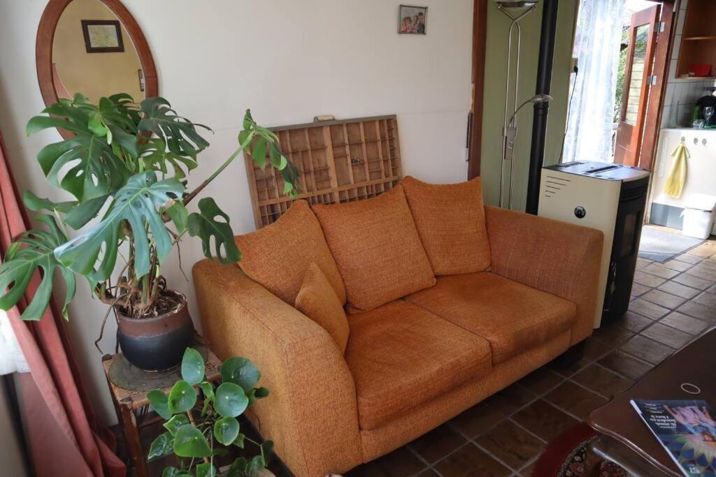 Basic Natuurhuisje Ommen/Beerze Villa Eksteriør bilde